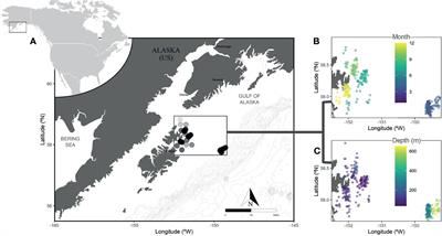 Reproductive Biology of Female Pacific Halibut (Hippoglossus stenolepis) in the Gulf of Alaska